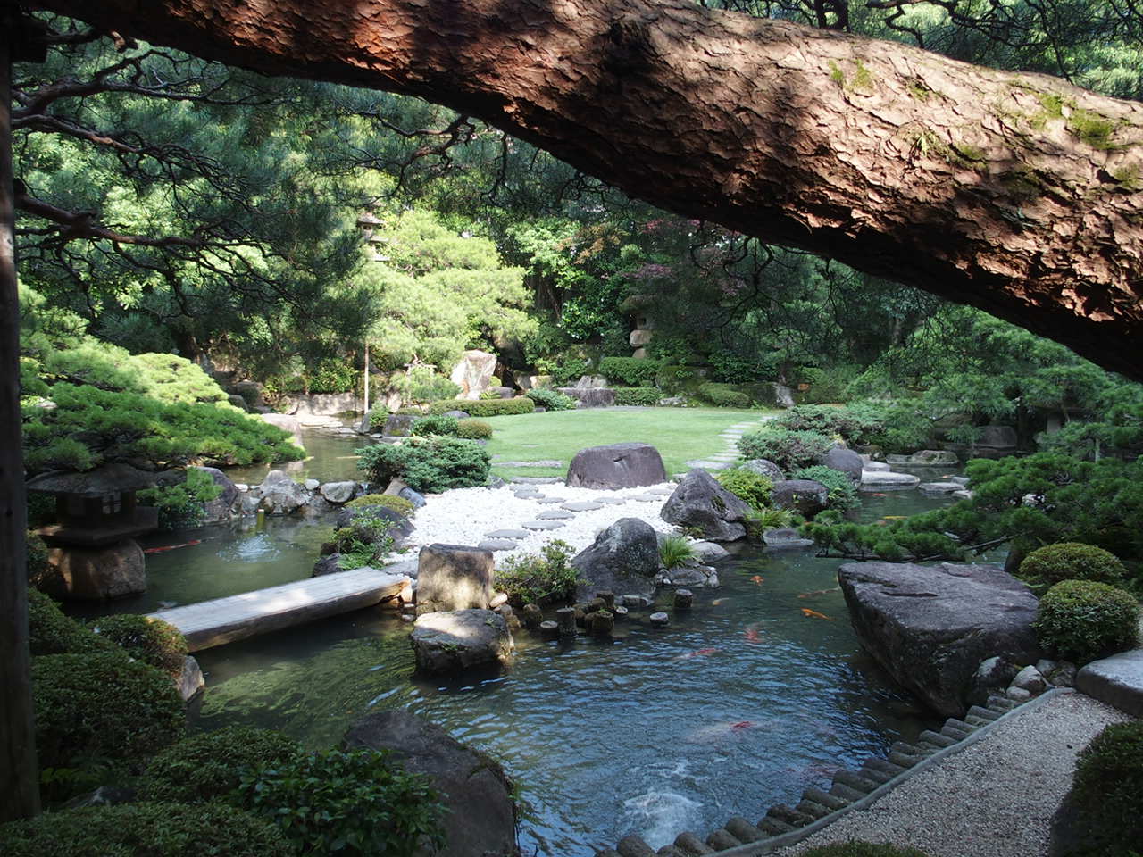 湯田温泉松田屋ホテルの庭園の赤松