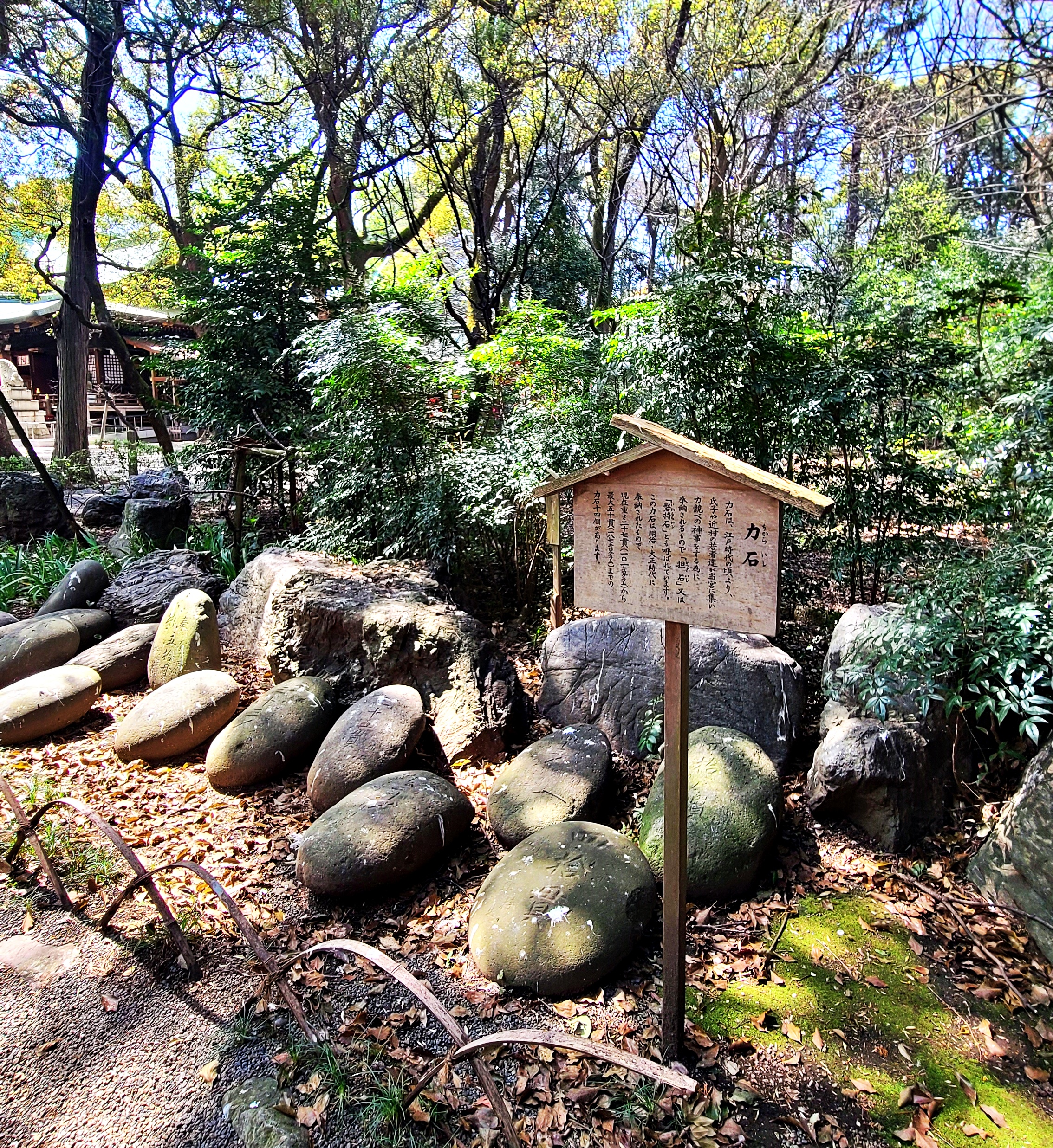 大宮八幡宮の力石