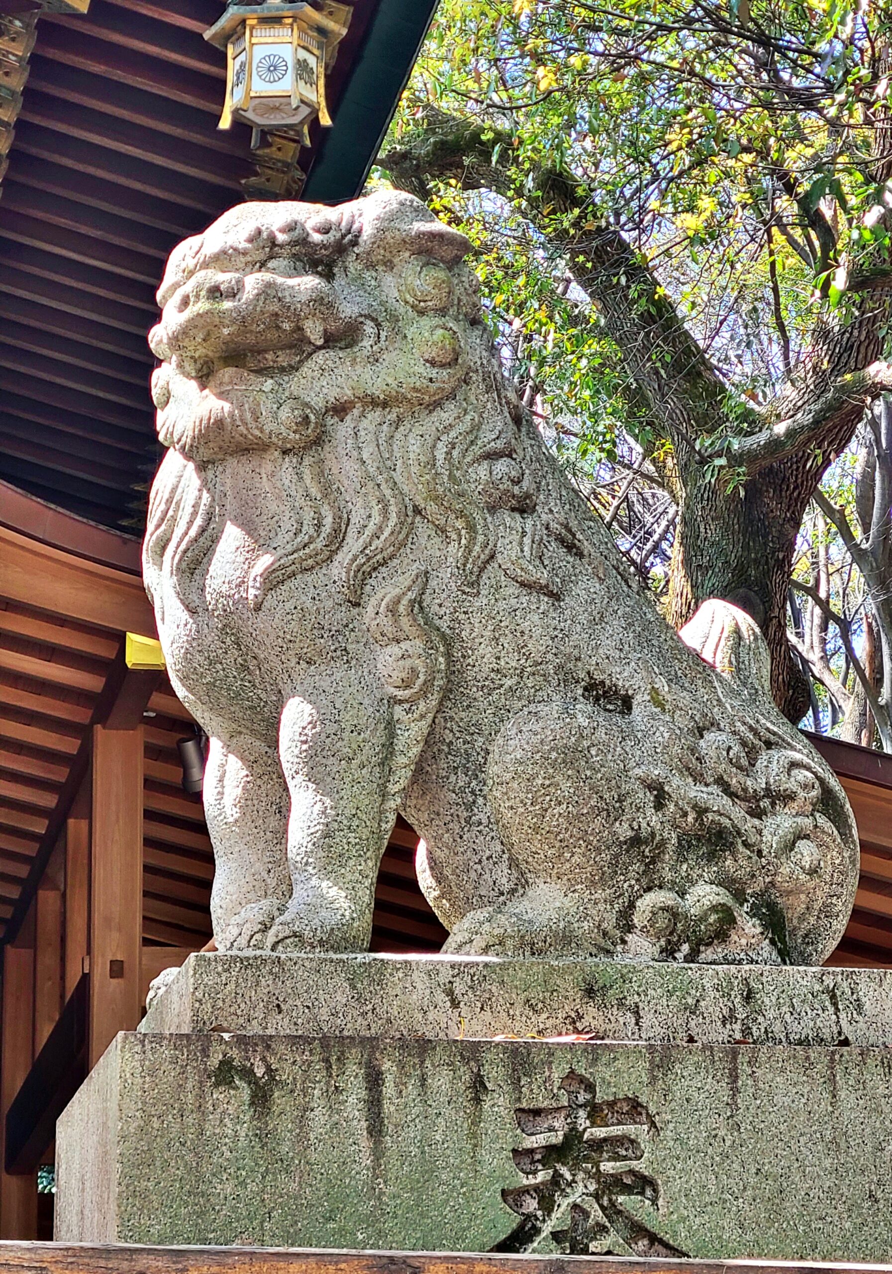 大宮八幡宮の狛犬