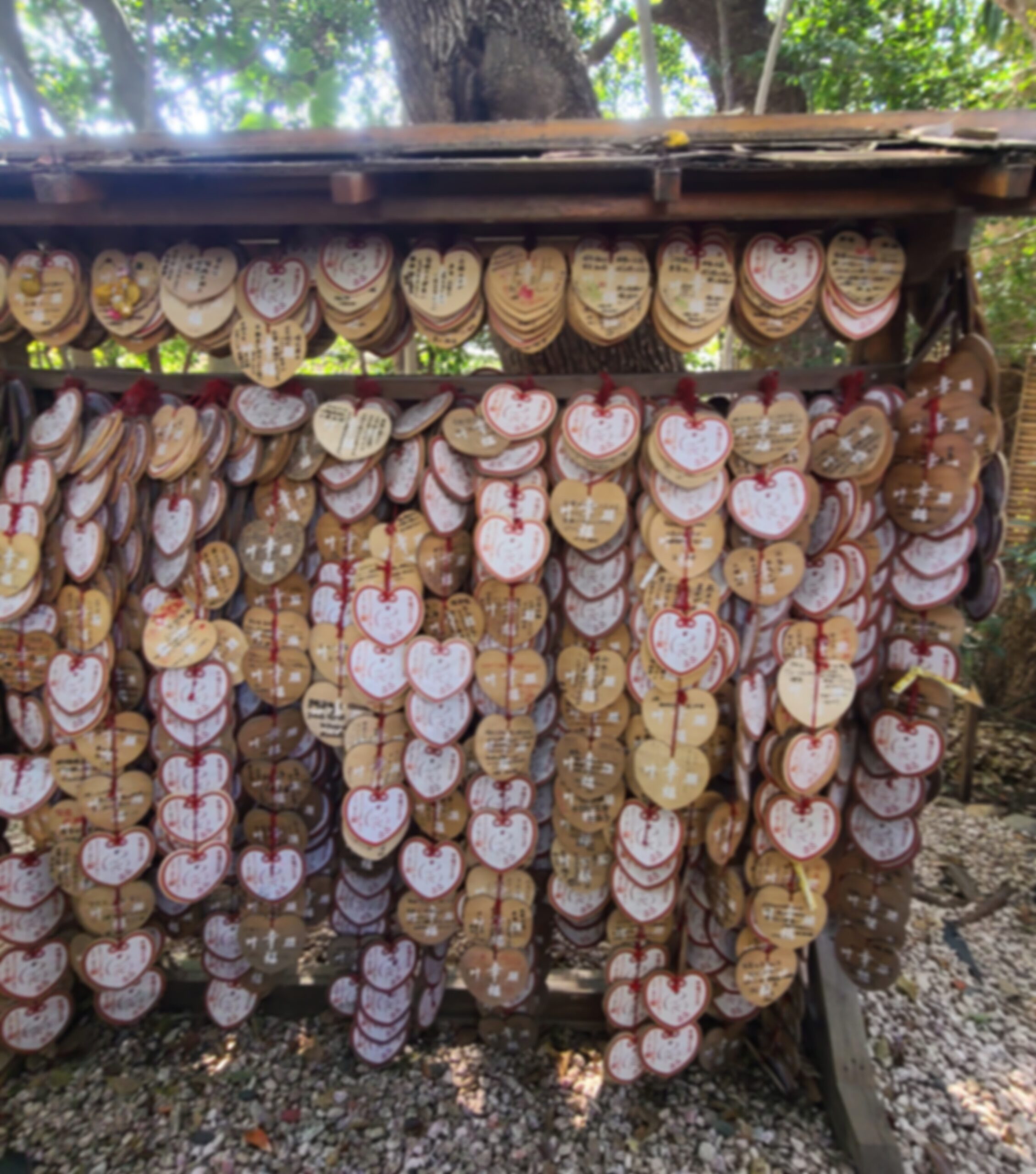 大宮八幡宮の幸福撫でがえる石の奥に奉納された絵馬