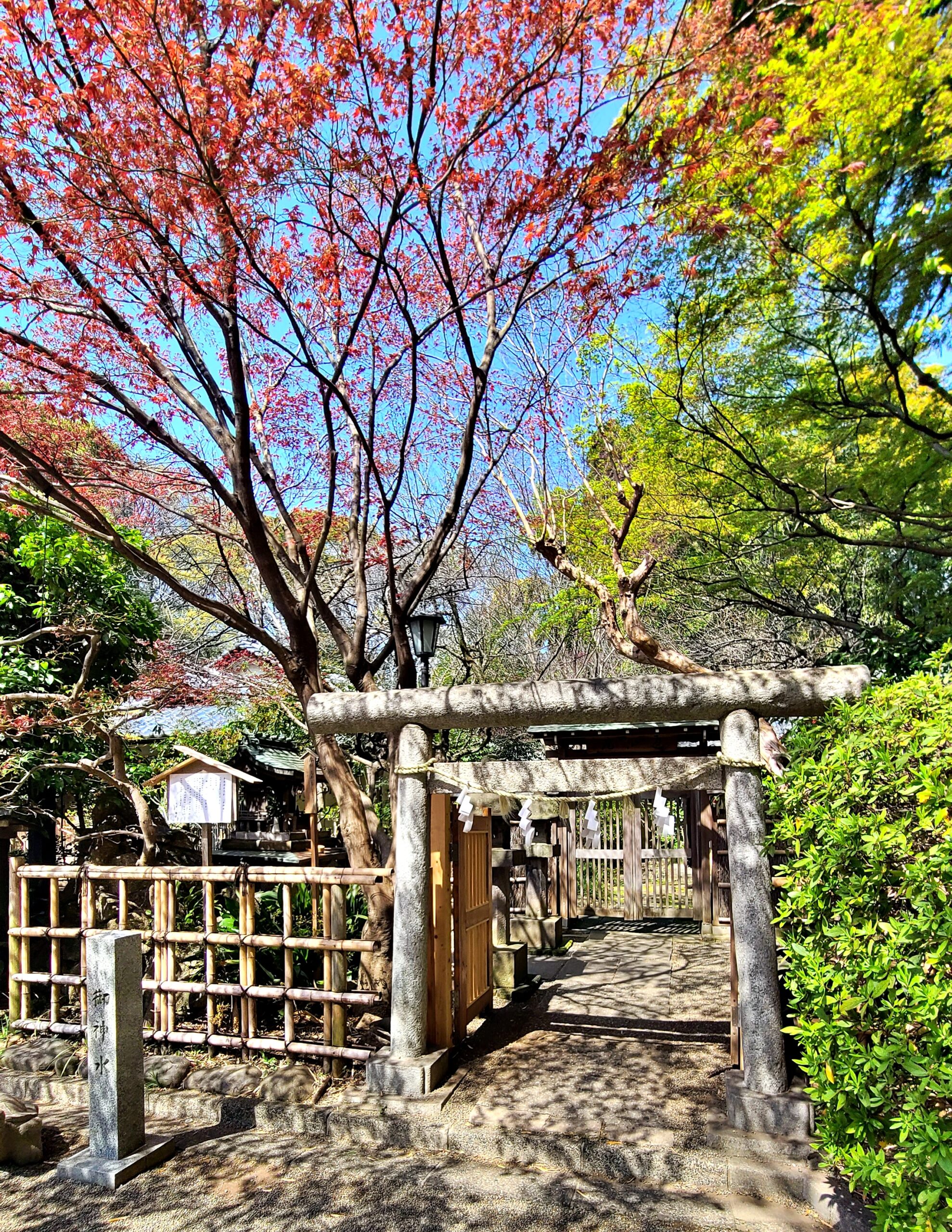 大宮八幡宮の参道にある多摩清水舎