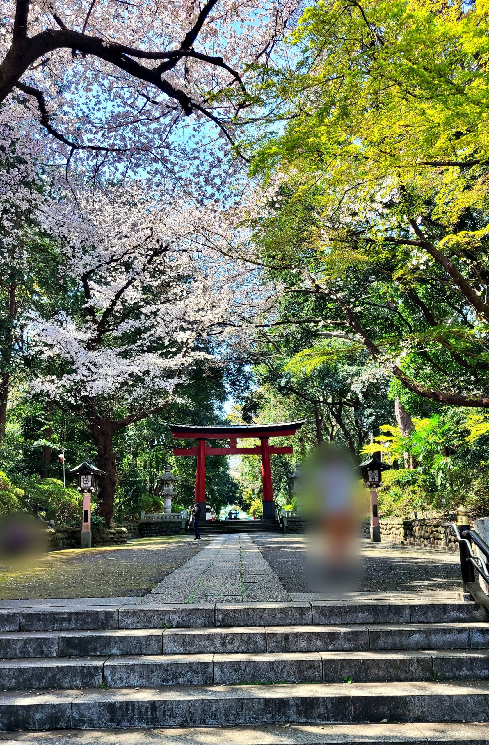 東京のへそ・大宮八幡宮の参道