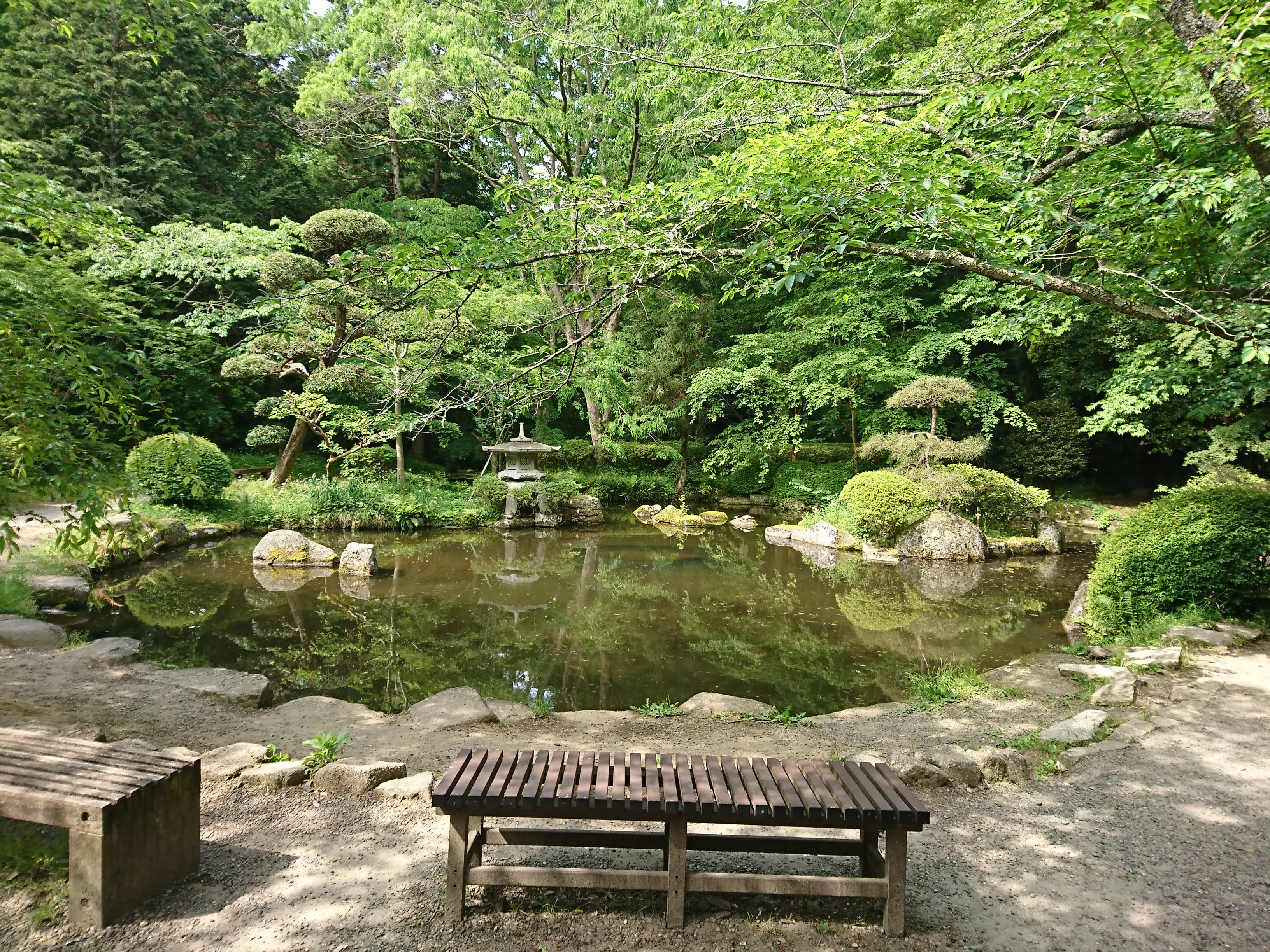 香取神宮の神池