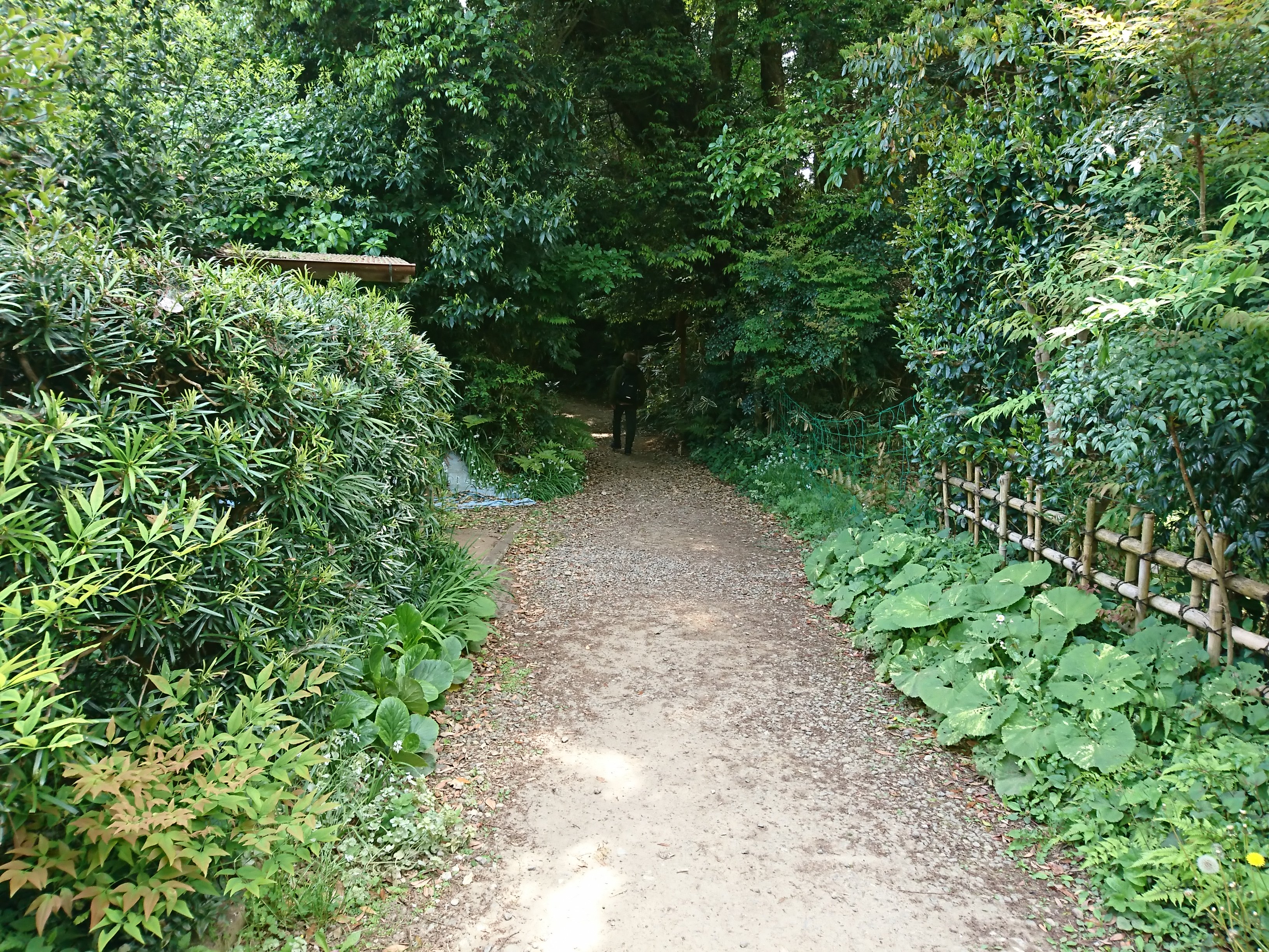 香取神宮のパワースポット要石