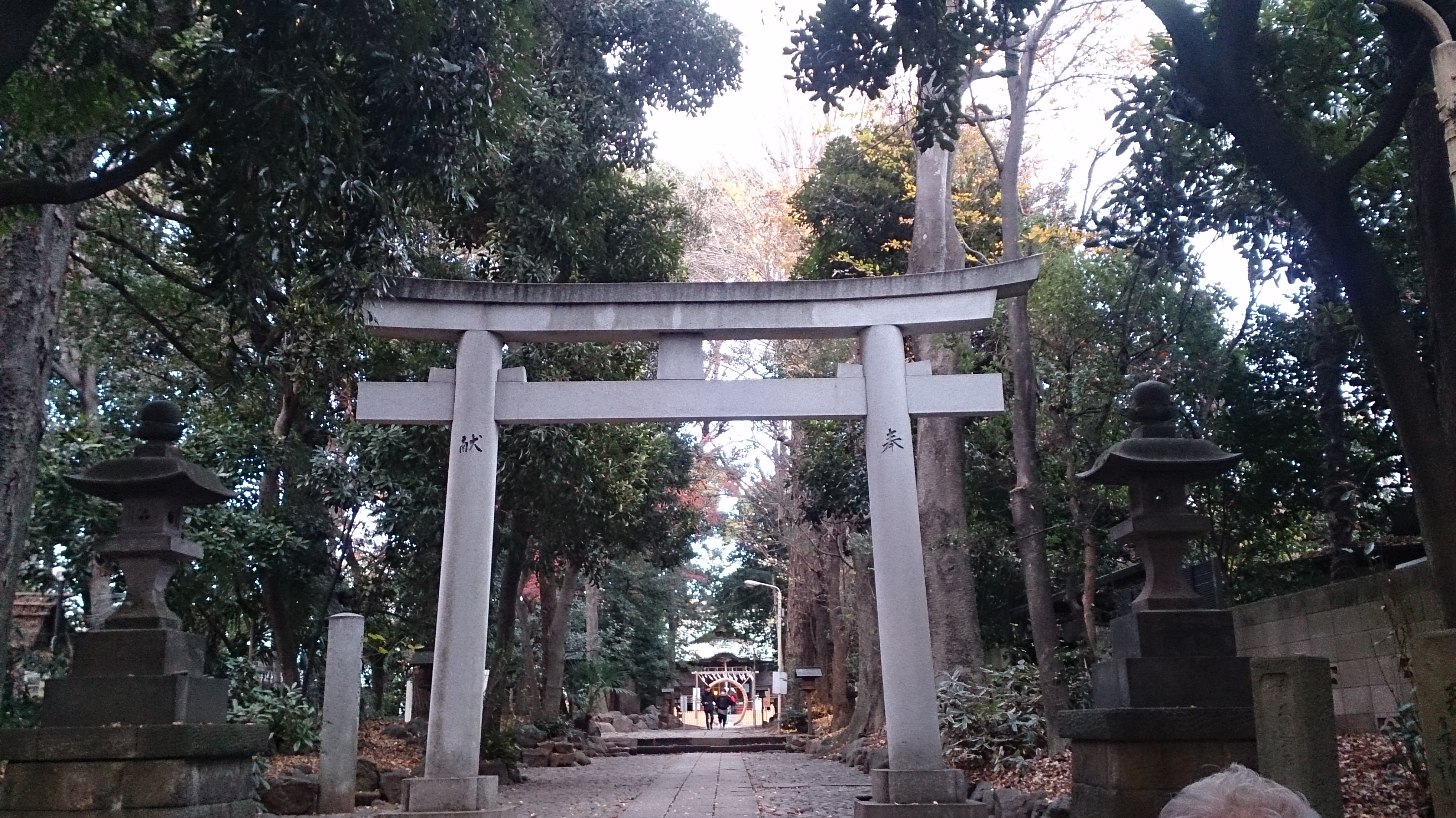 代々木のパワースポット代々木八幡宮