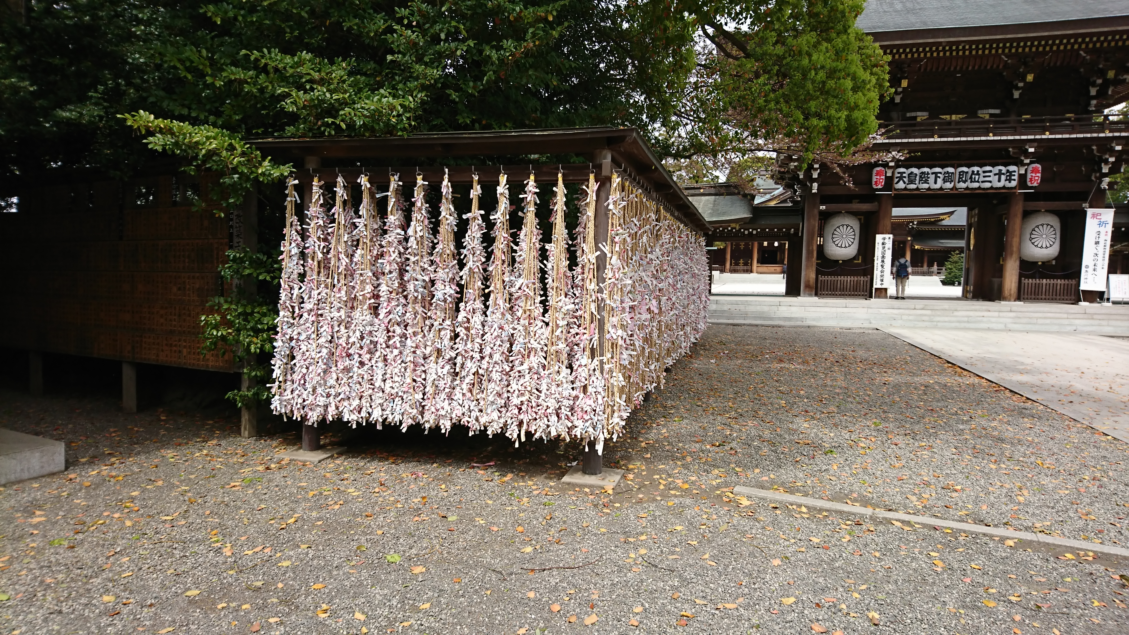 寒川神社のおみくじ