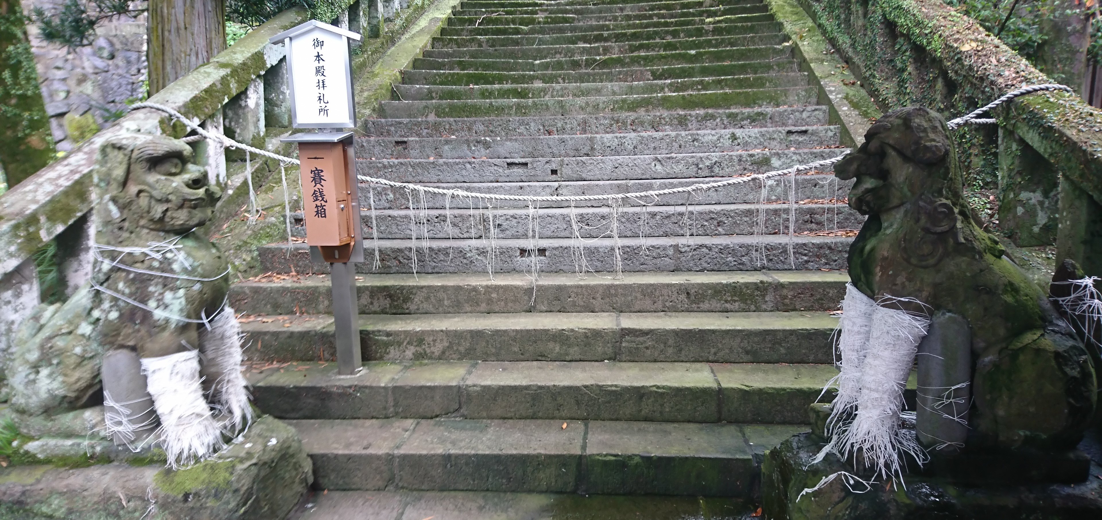 長崎諏訪神社の止め事成就狛犬