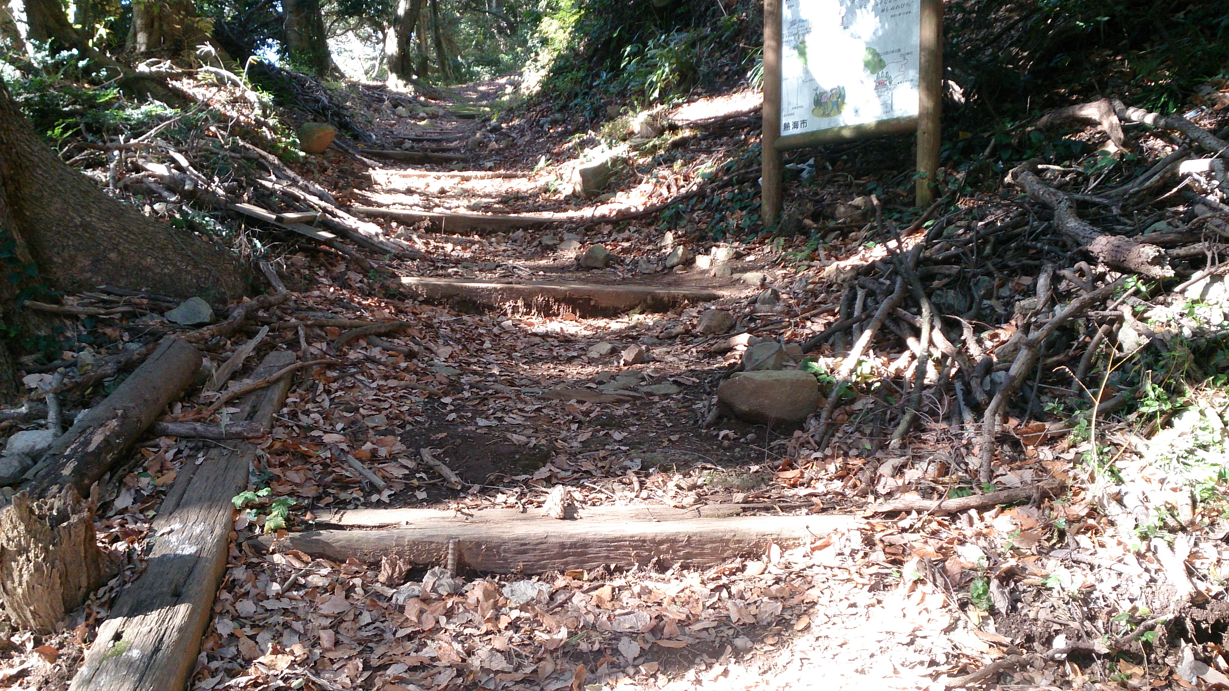 伊豆山神社のご本殿から本宮へ続く登山道