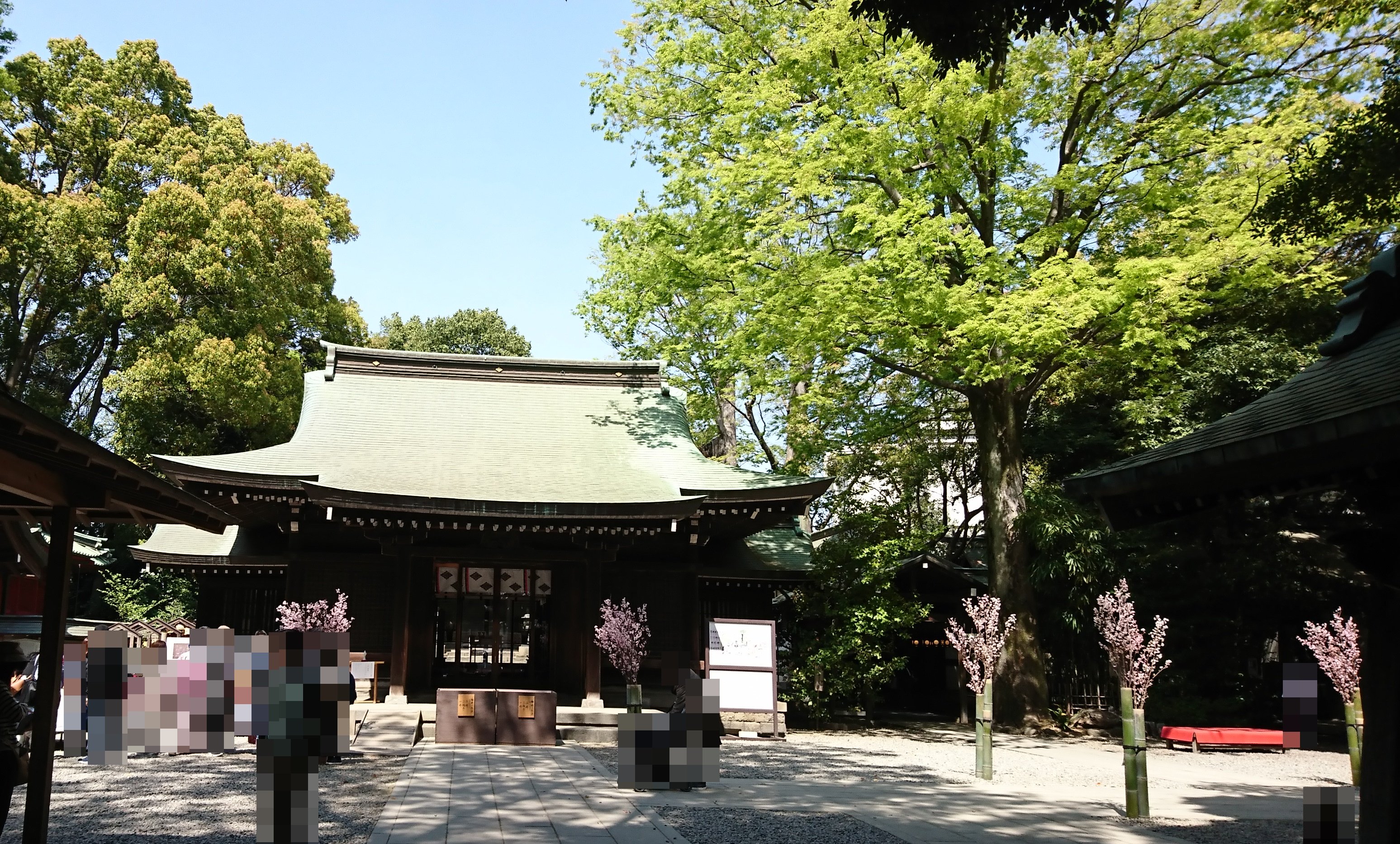 川越氷川神社の良縁祈願祭 効果と気になる口コミ 混雑は 幸せになる