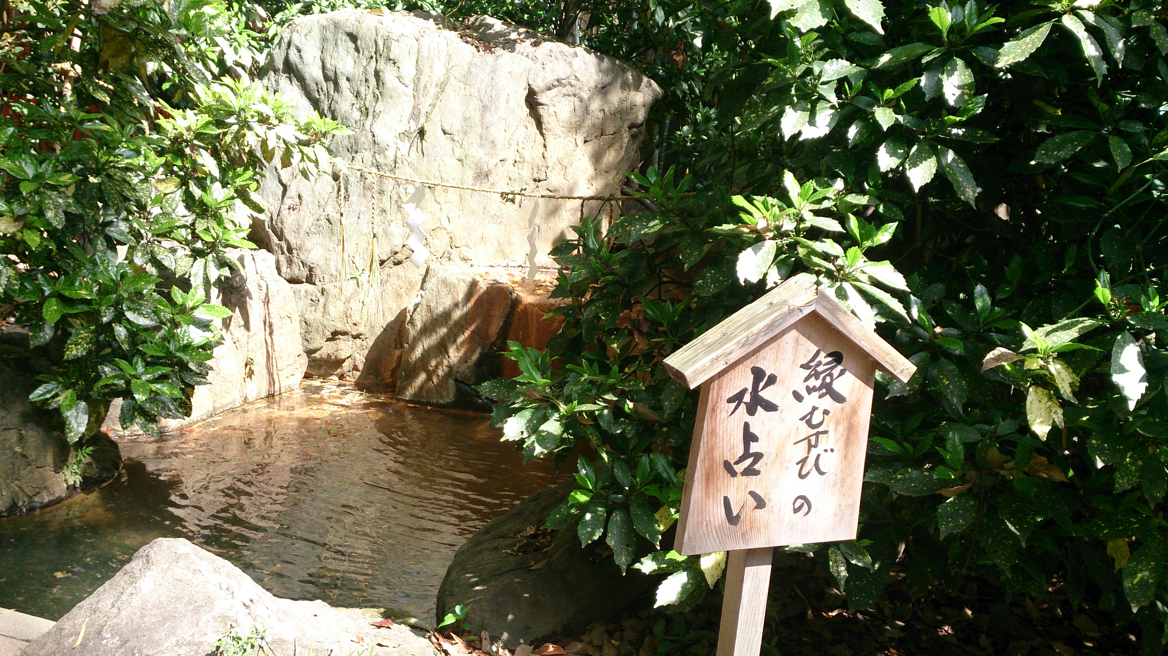 生田神社の生田の杜にある縁結びの水占い