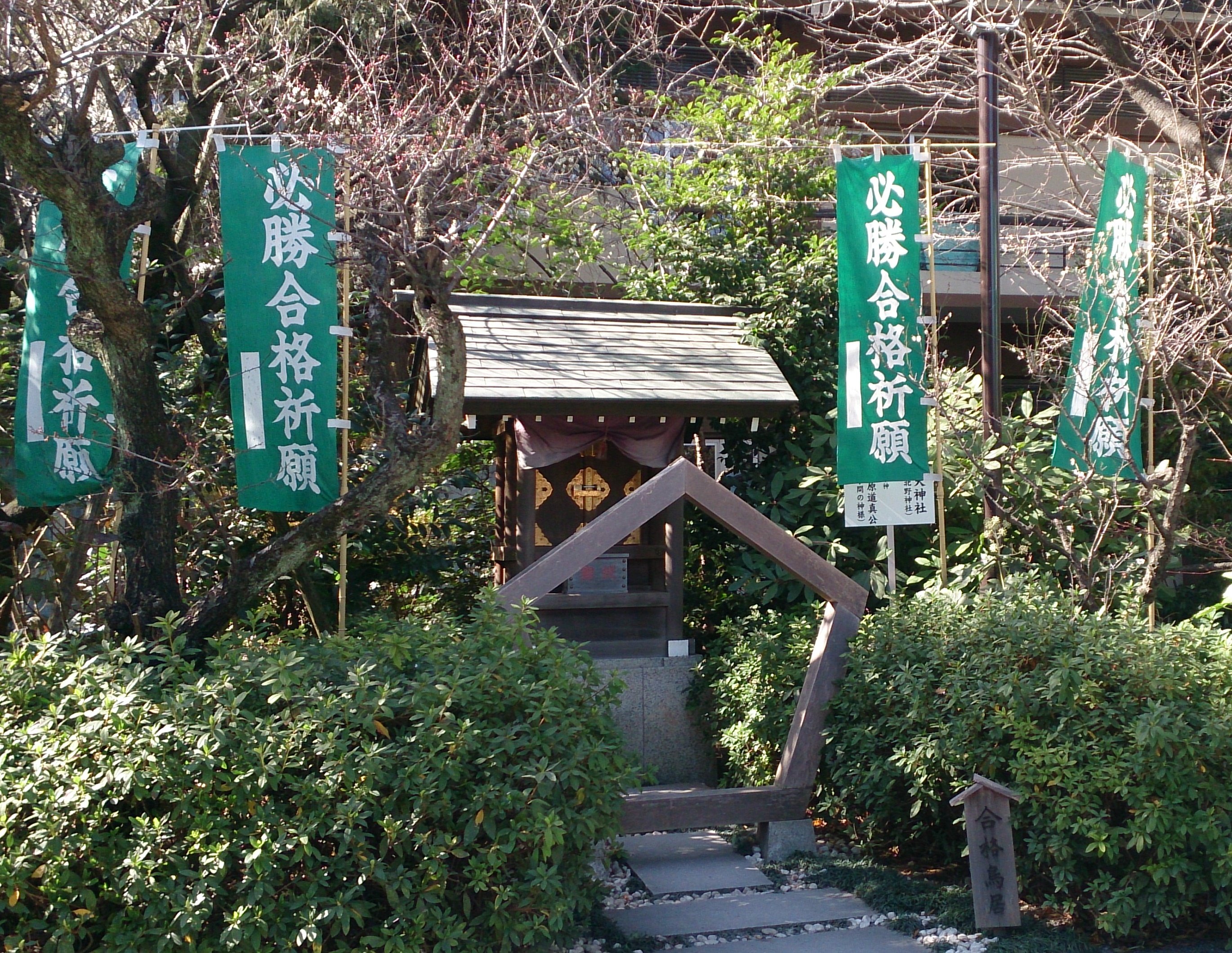 阿佐ヶ谷神明宮の合格の鳥居