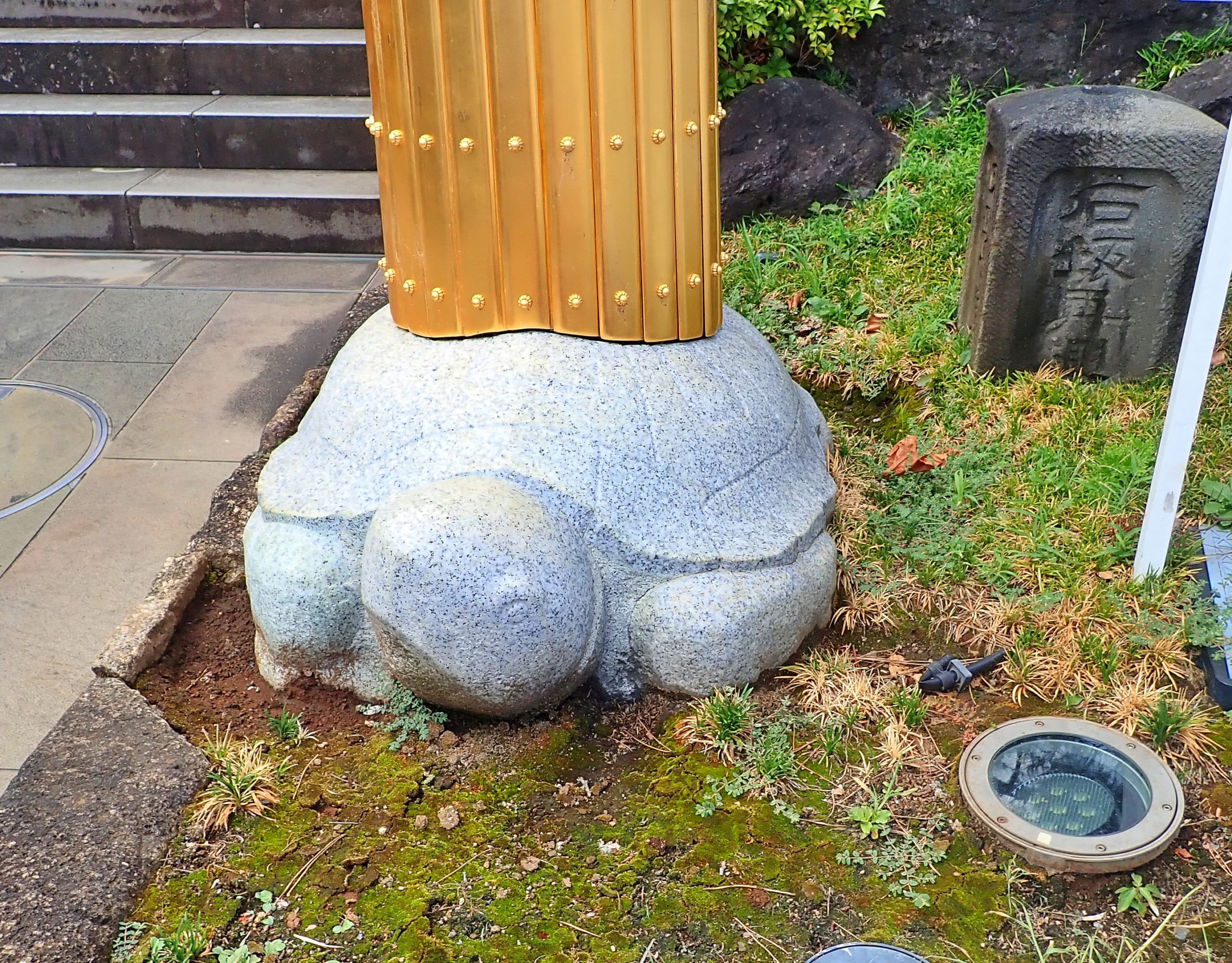 穴八幡宮の鳥居の下にいる亀