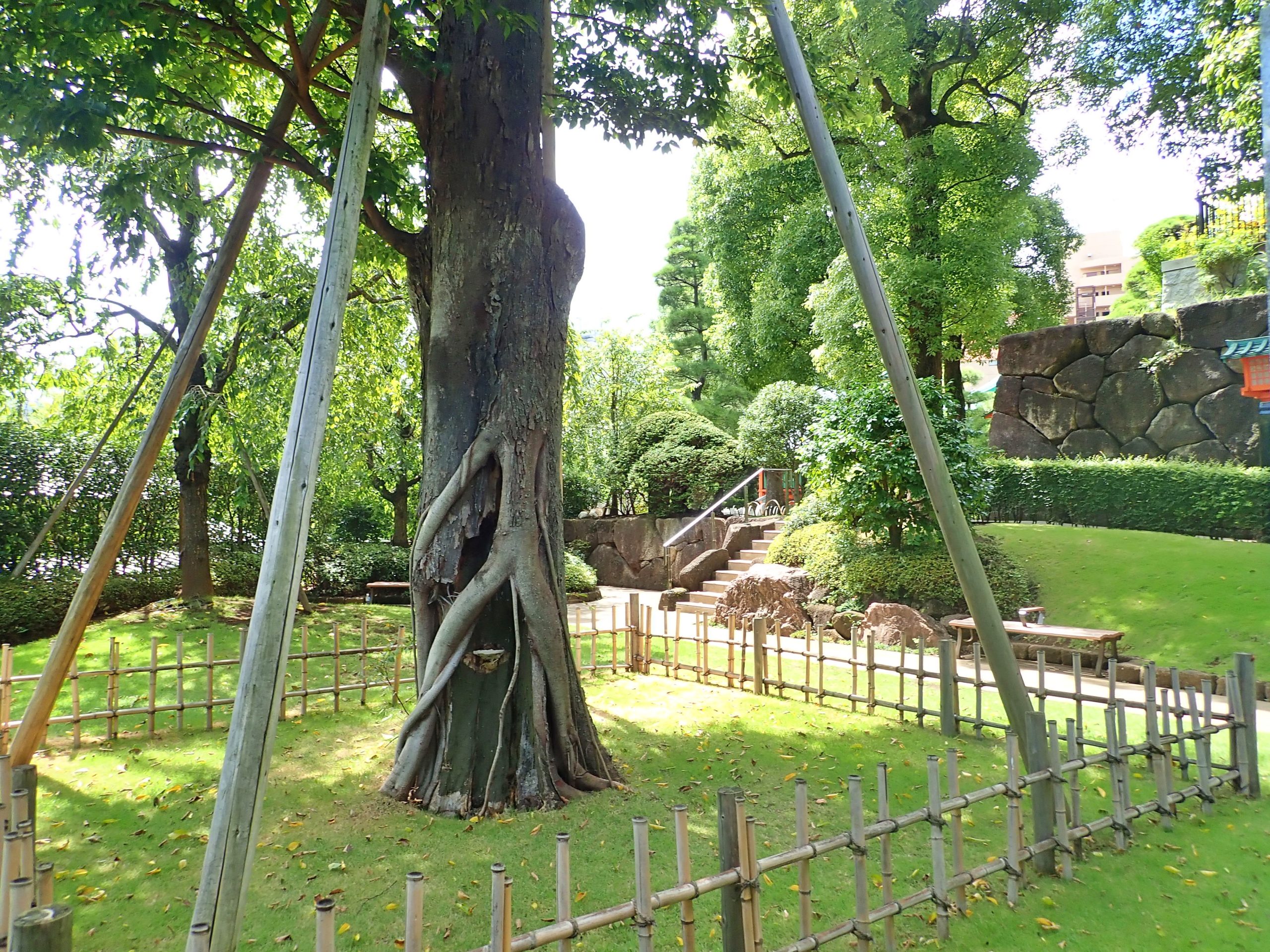 穴八幡宮の参道階段の脇にある公園