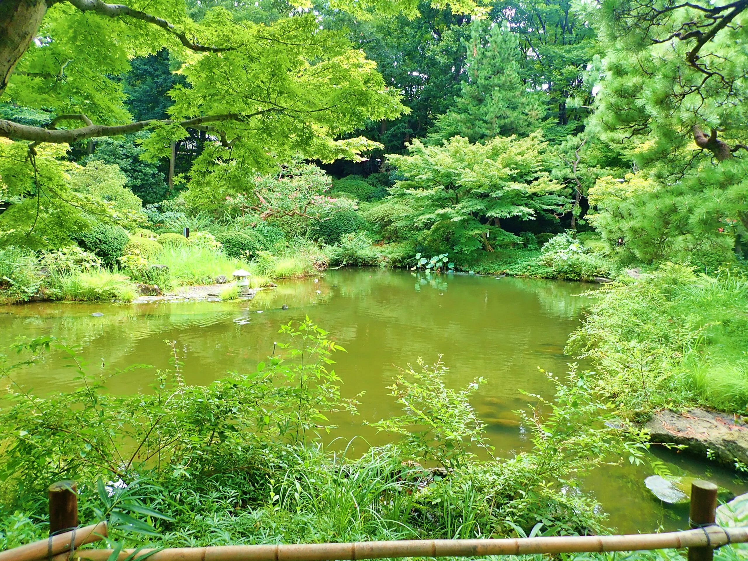 水稲荷神社近くの甘泉園