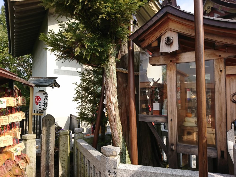 清水寺の地主神社にあるいのり杉