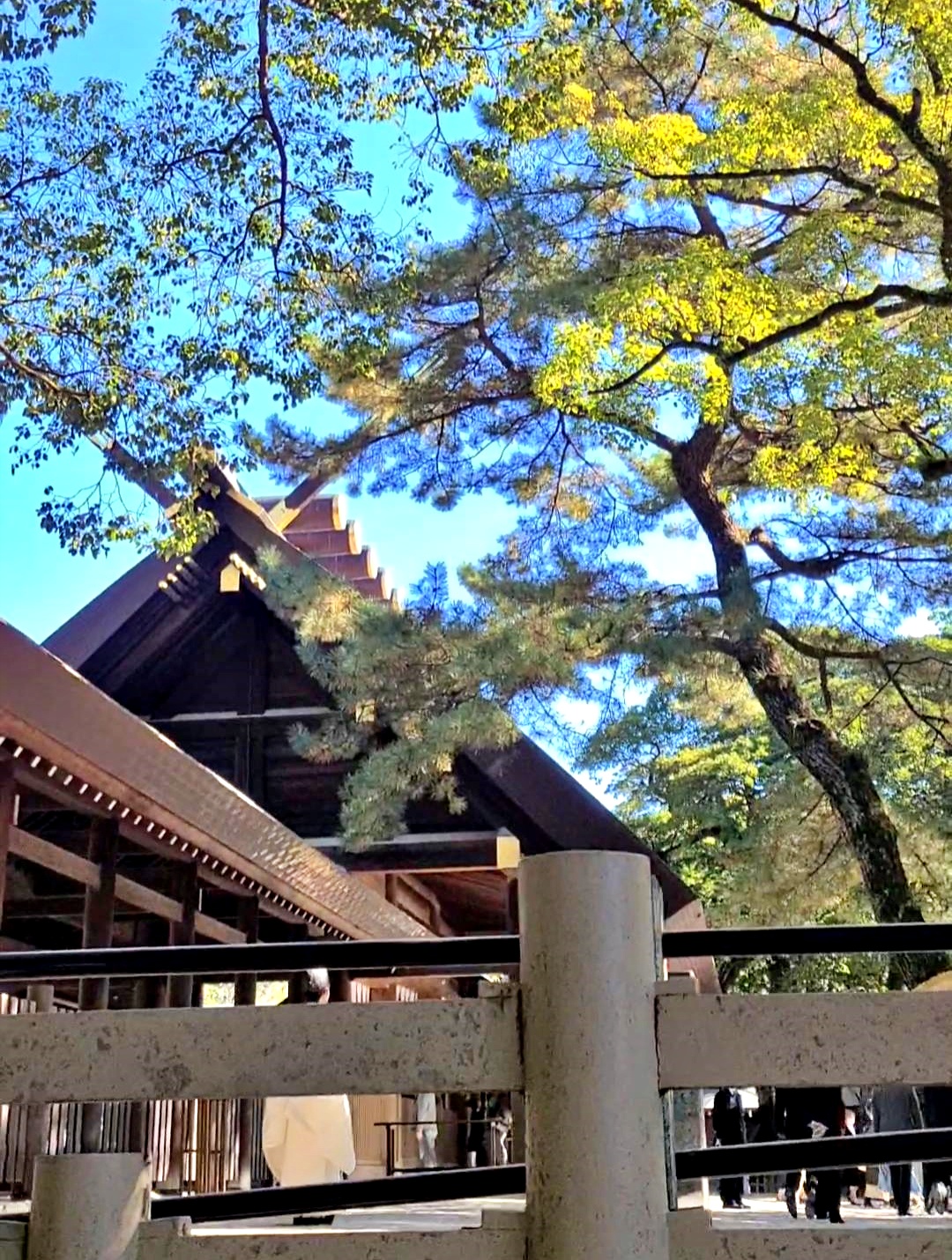 熱田神宮の本宮