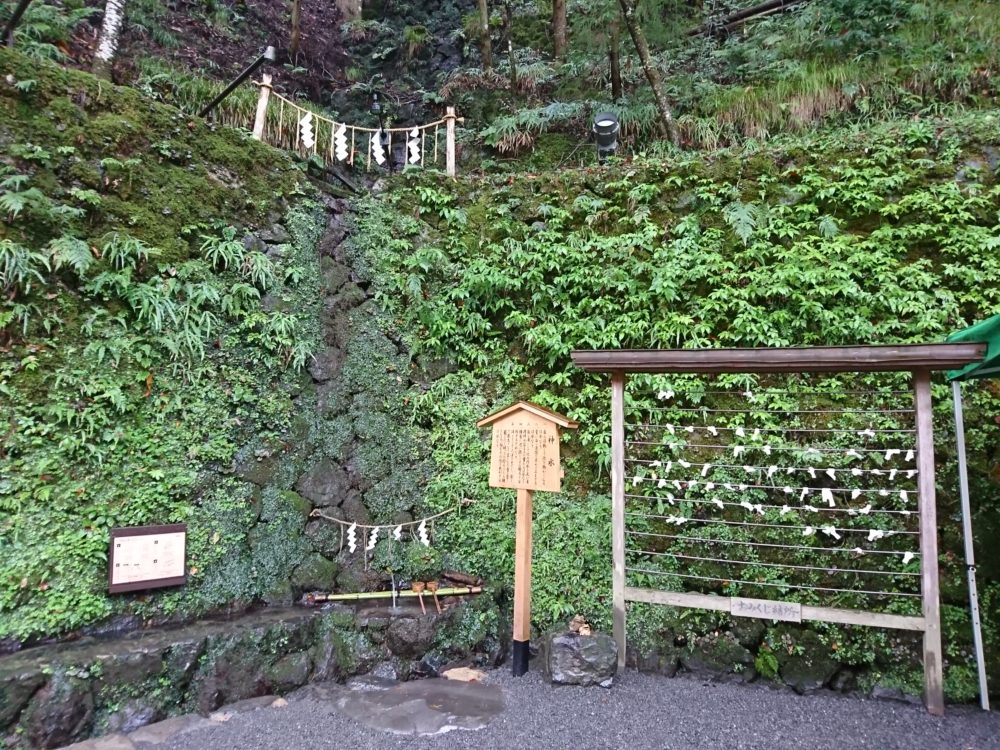 貴船神社で人気の水占みくじ