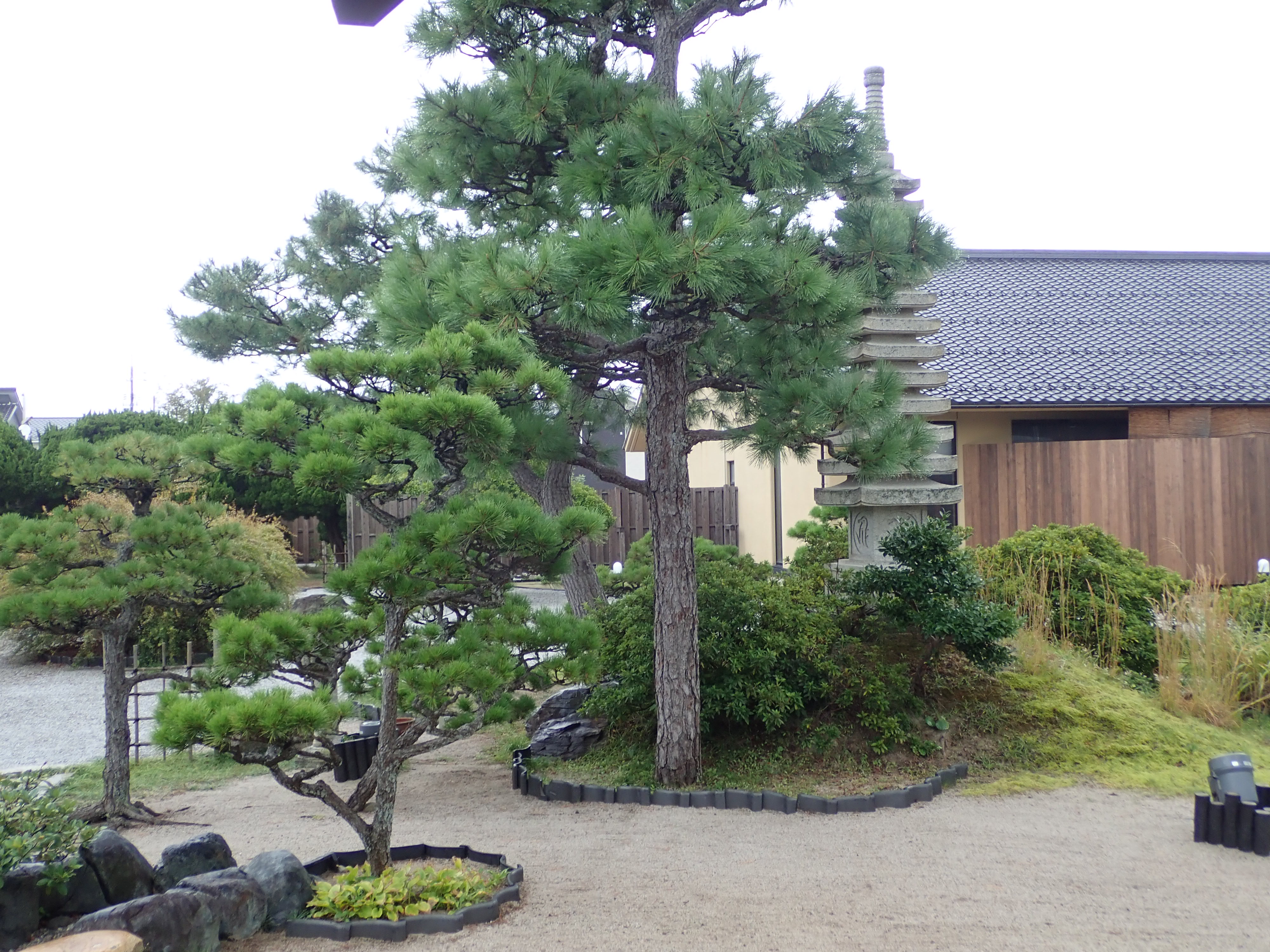 ポイントバケーション皆生の日本庭園