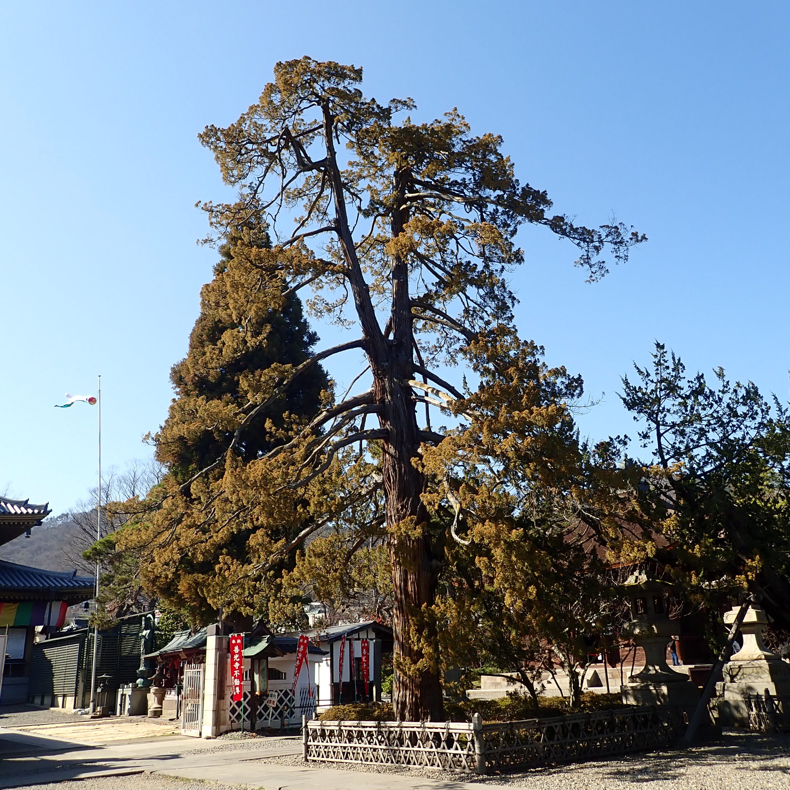 長野のパワースポット善光寺