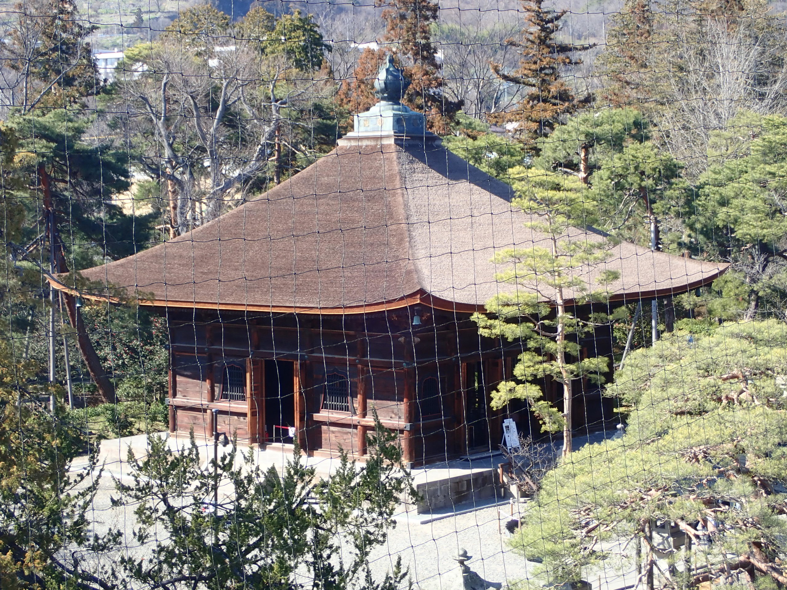 善光寺の山門からみる絶景