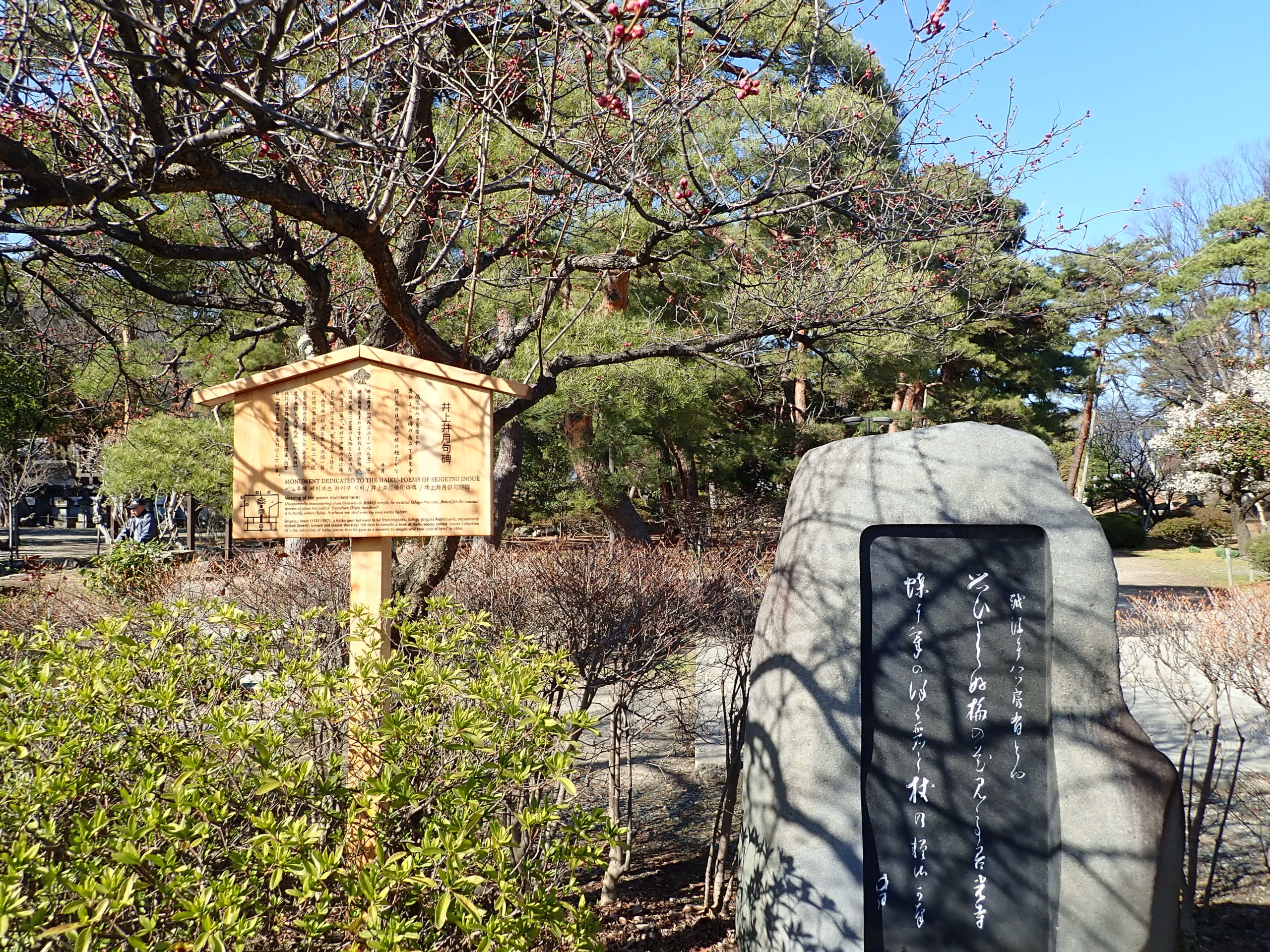 善光寺の境内にある井上伊月句碑