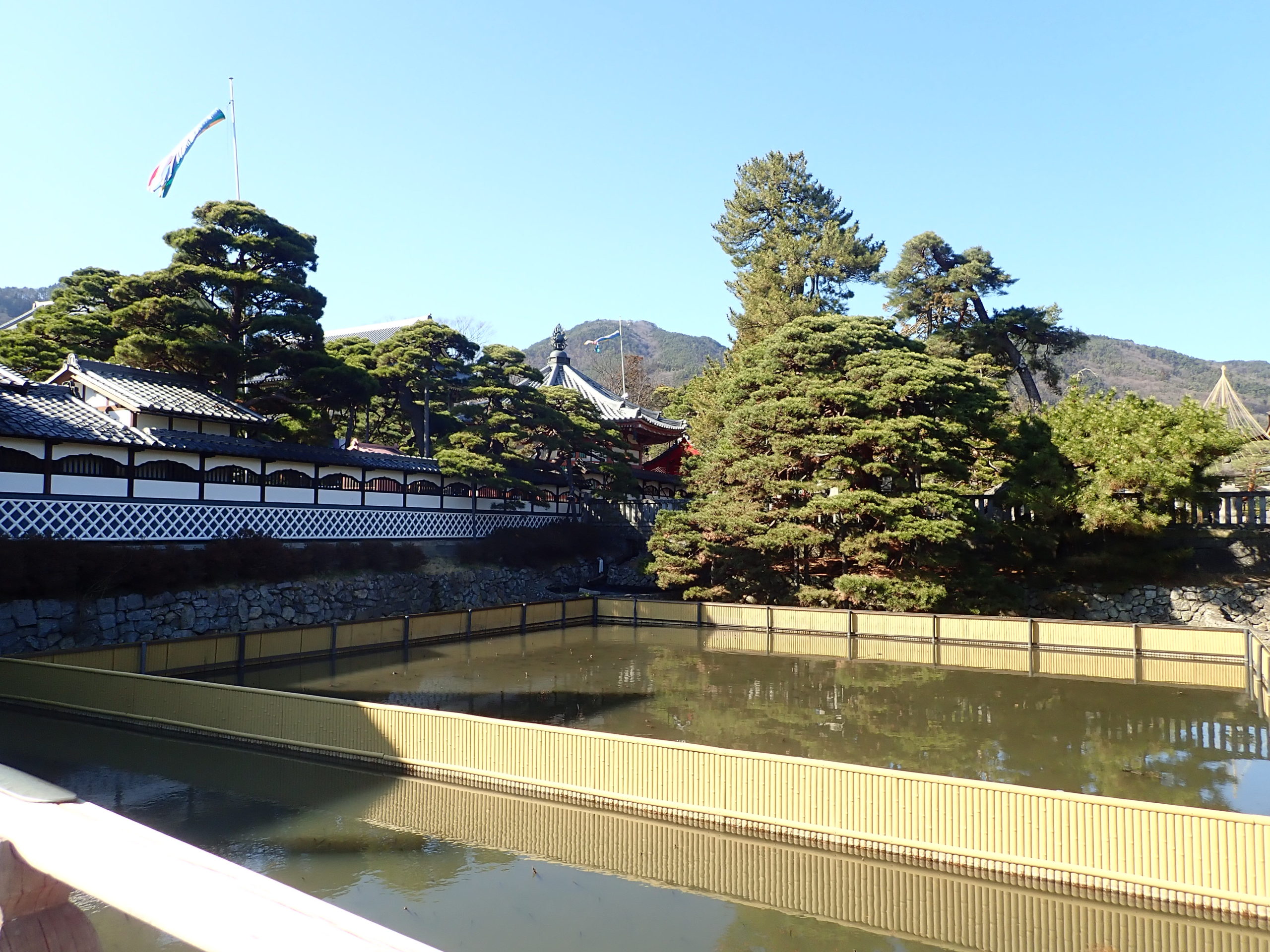 信州善光寺の参道にある大勧進の放生池