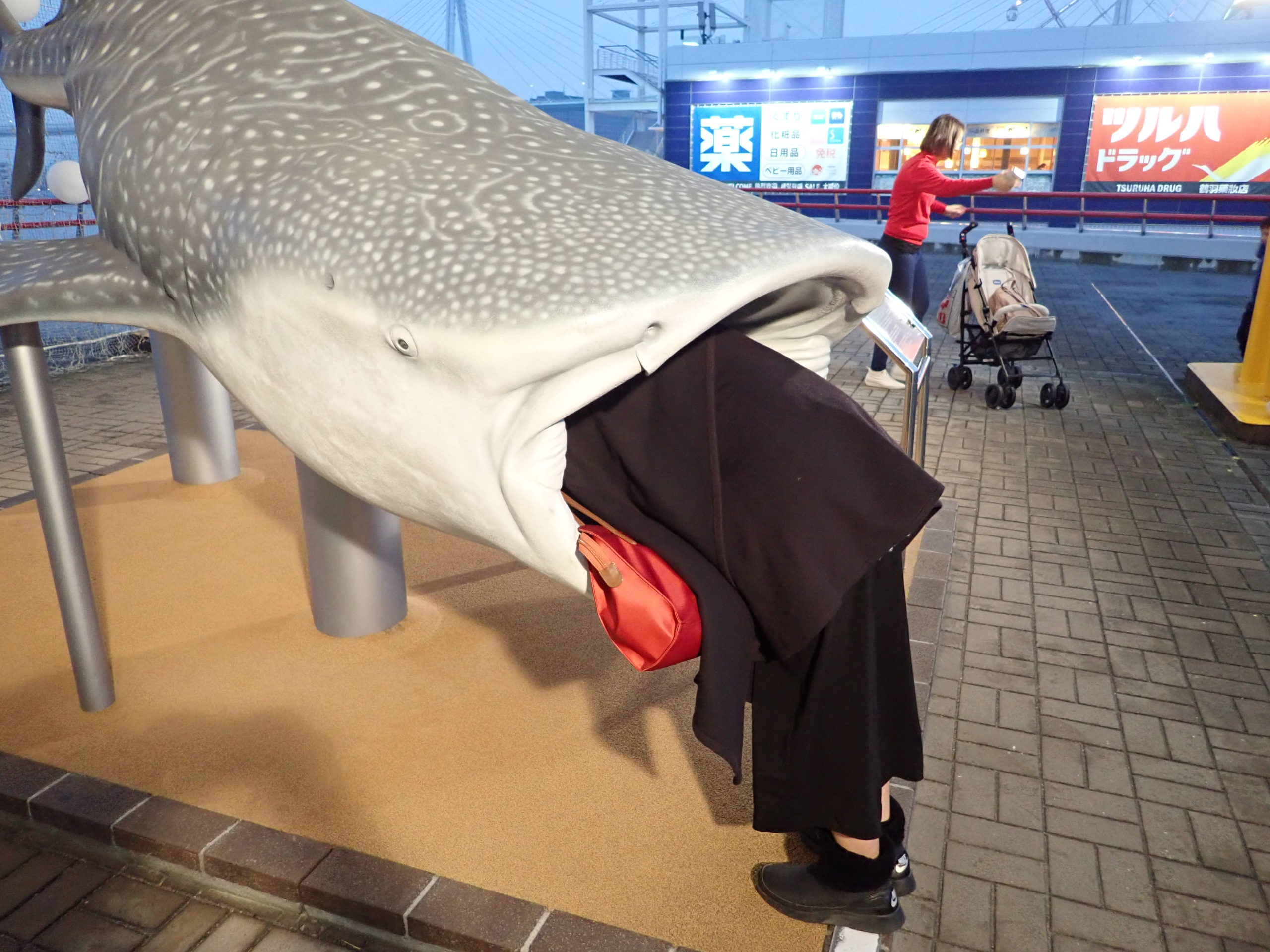 海遊館にあるジンベエザメの模型