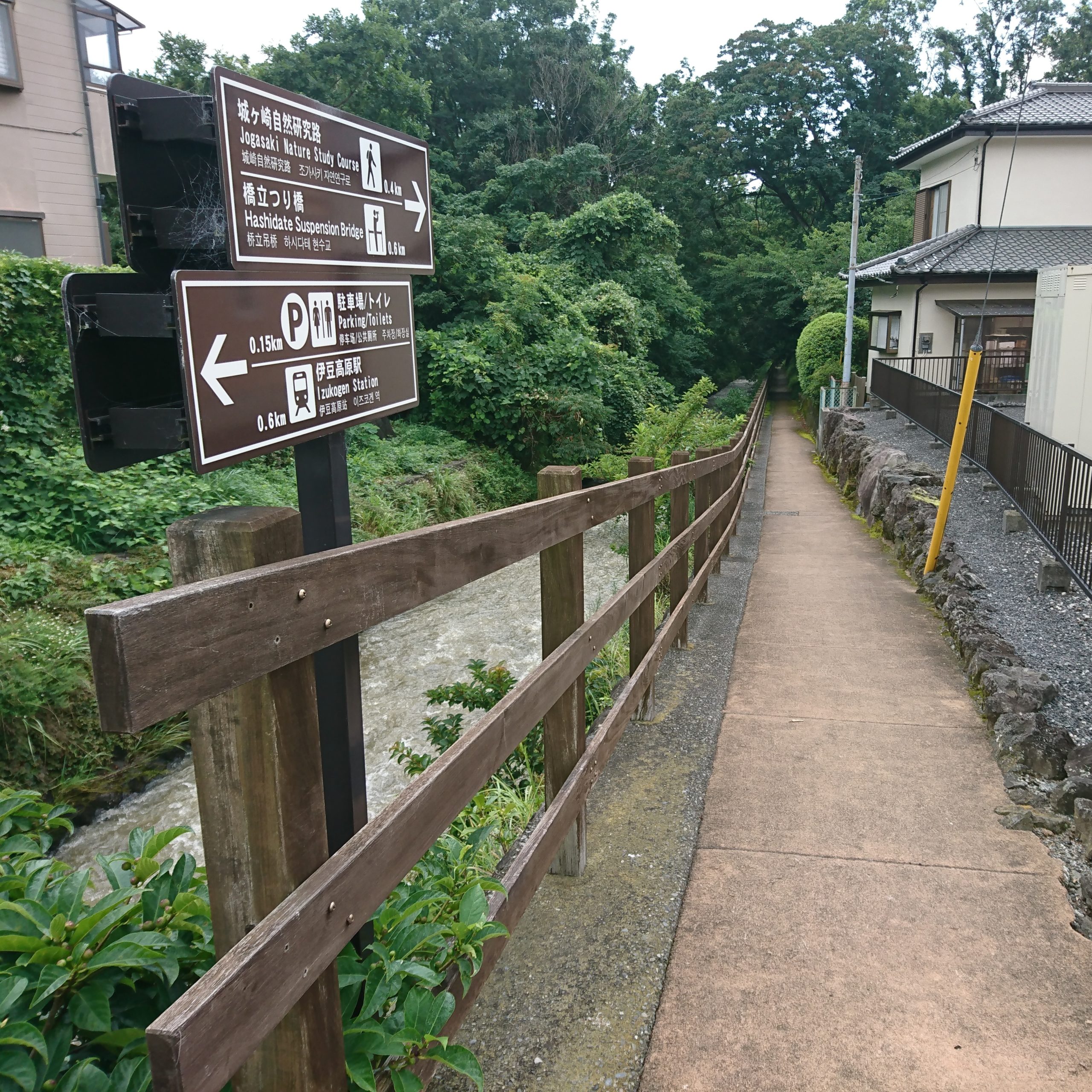 橋立のつり橋