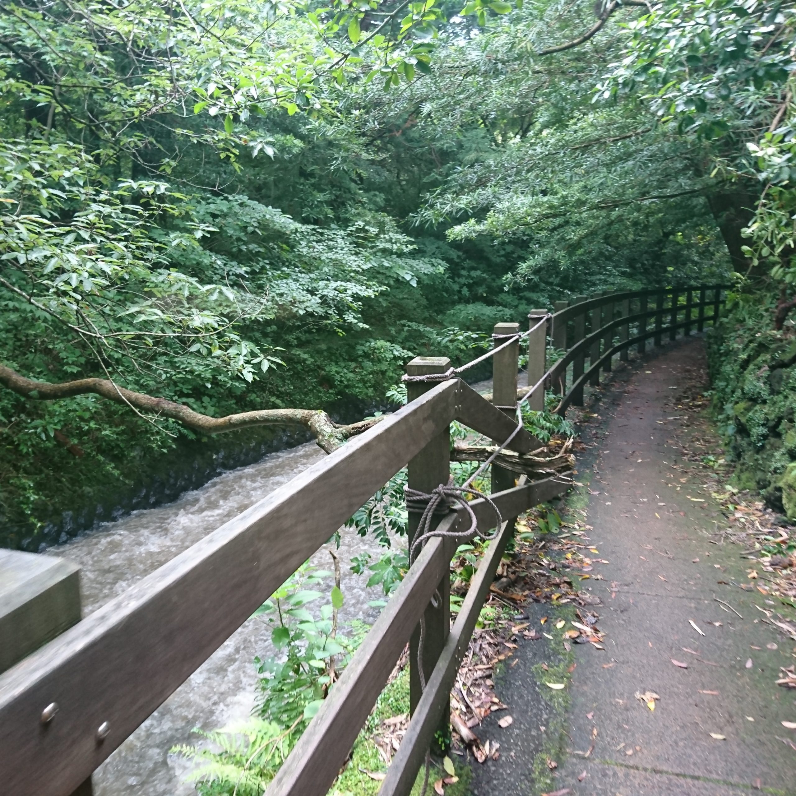 橋立のつり橋