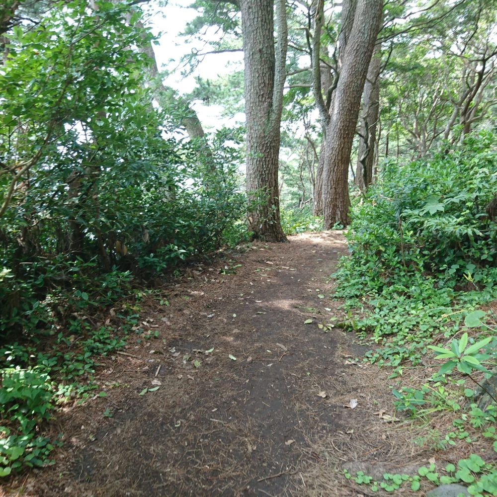 橋立のつり橋