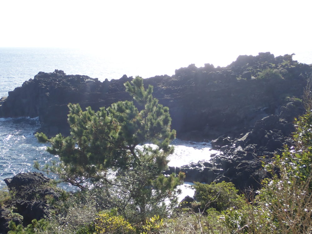 城ヶ崎海岸