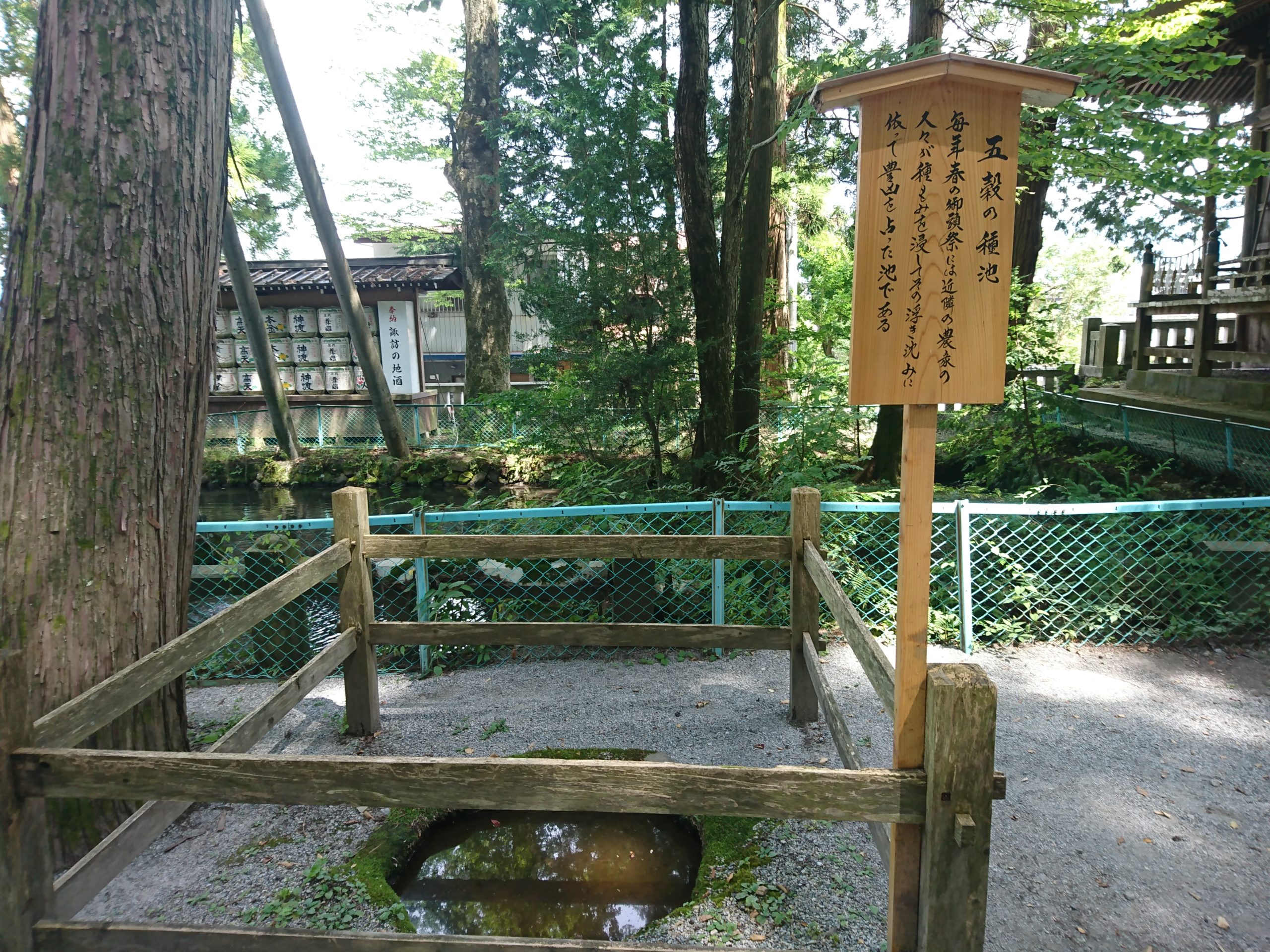 諏訪大社上社本宮の五穀の種池です