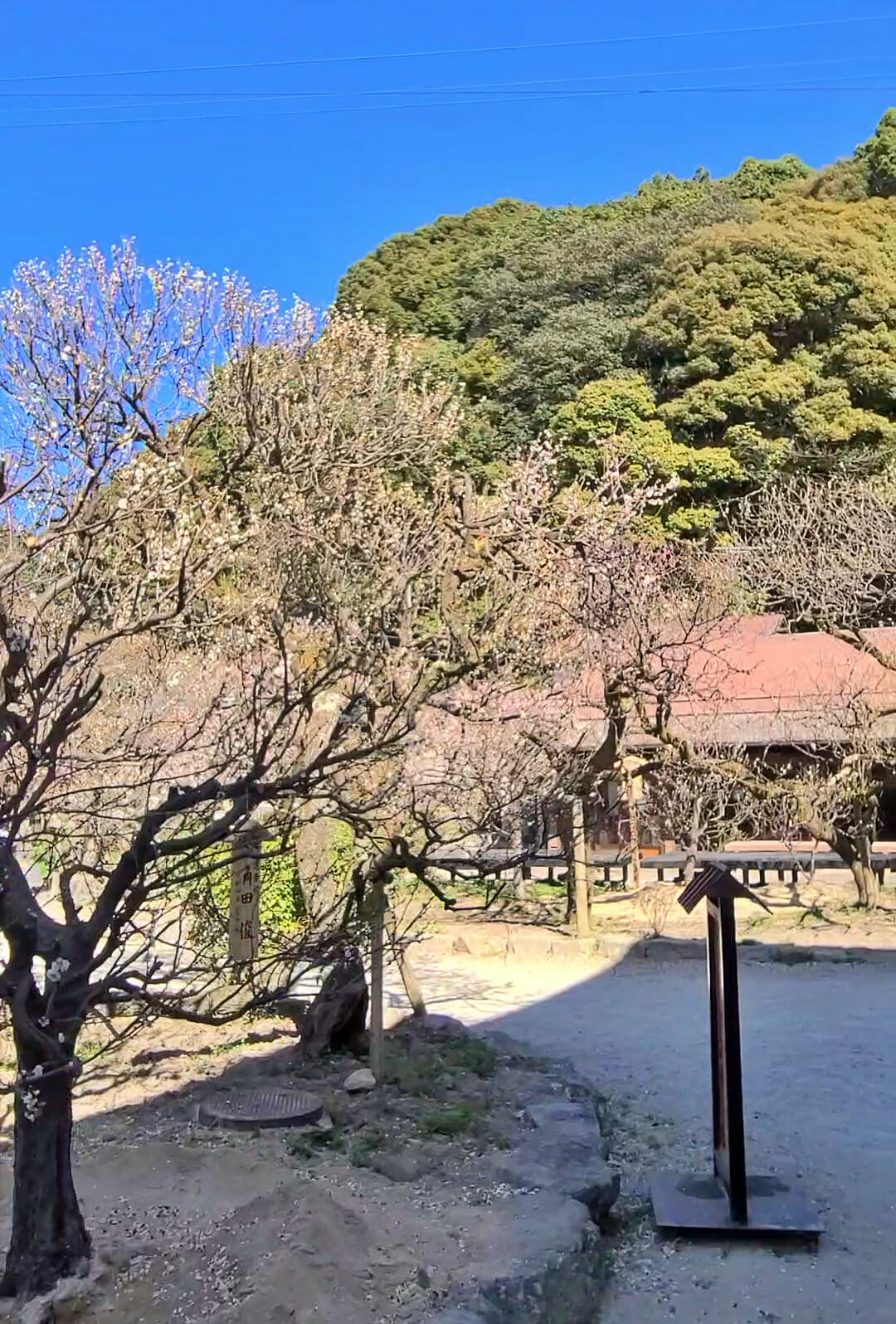 太宰府天満宮の小山田茶店