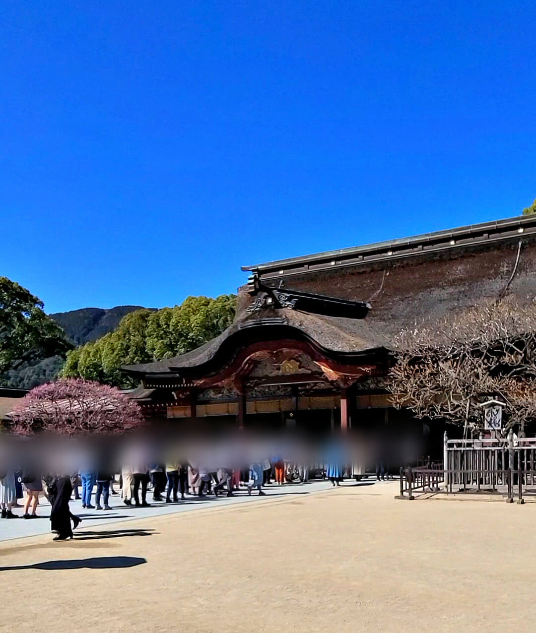 太宰府天満宮のご本殿