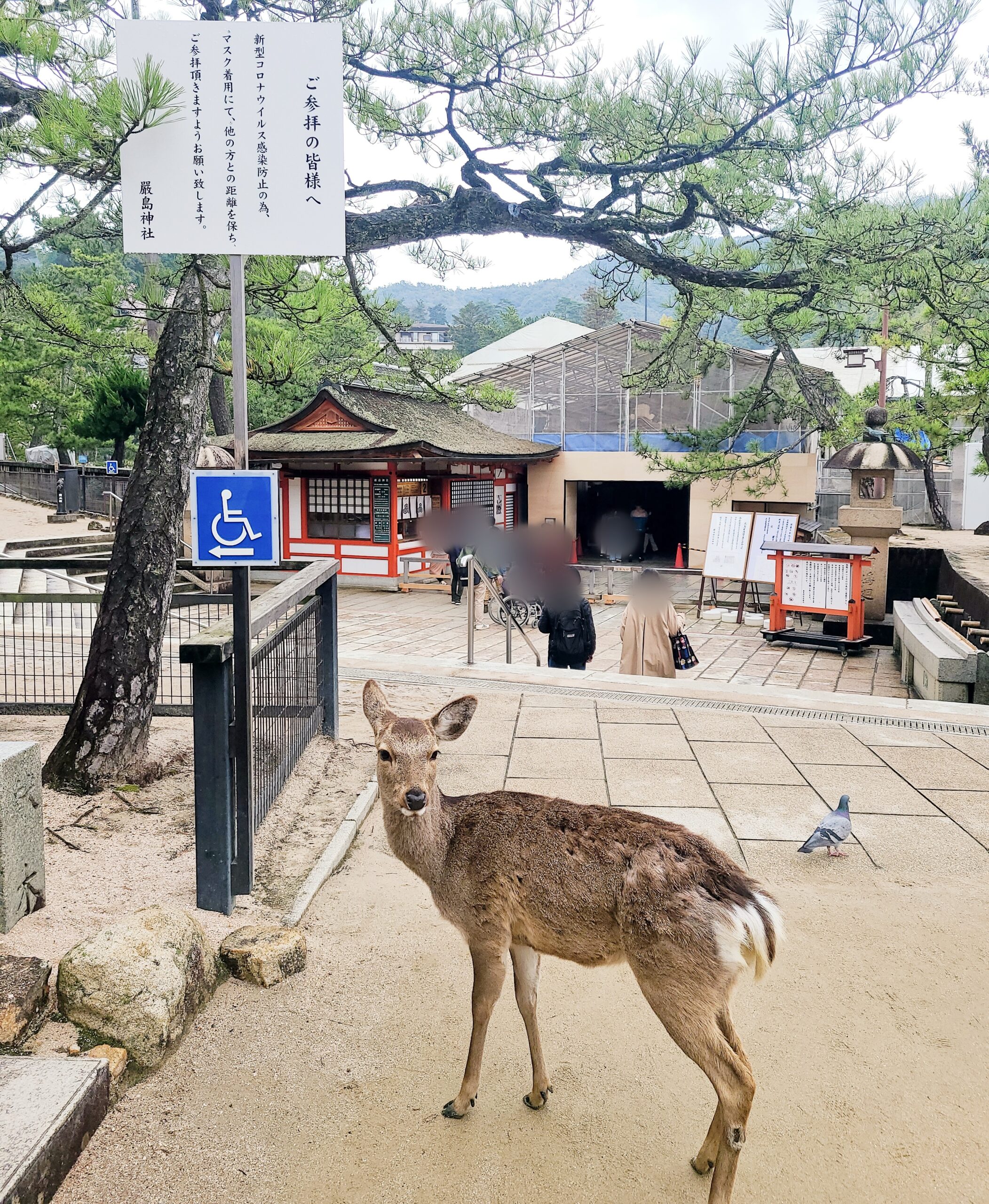 厳島神社の回廊の入り口