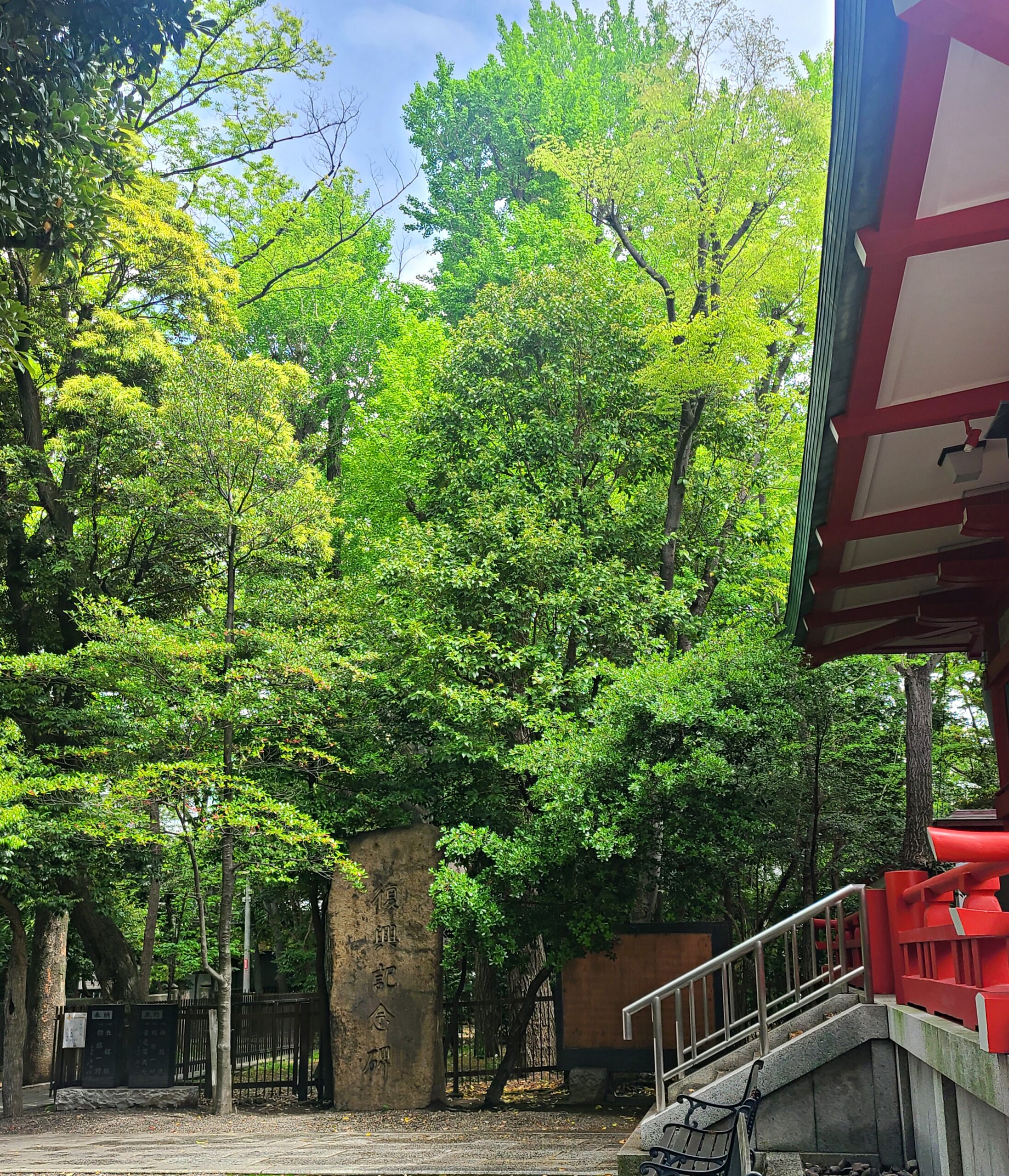 富岡八幡宮のご神木