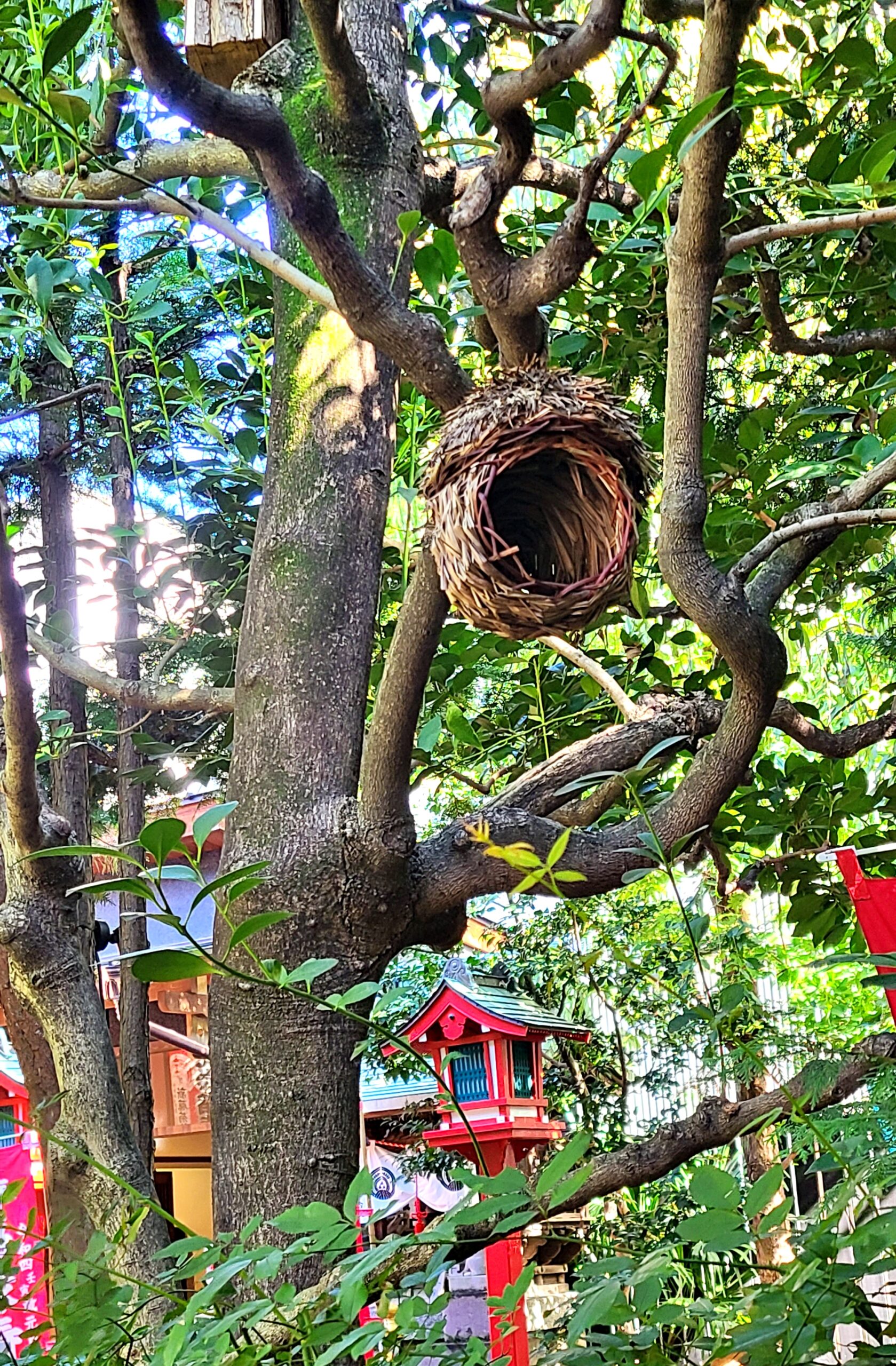 陽運寺のカフェ