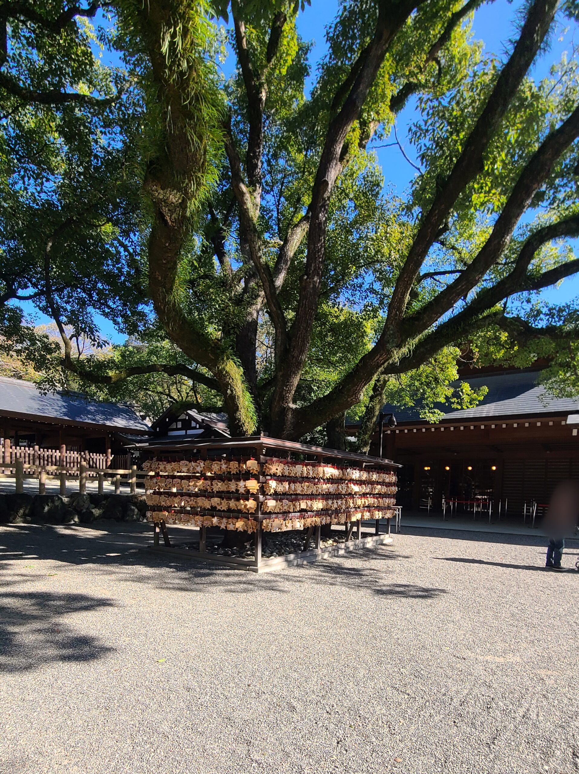 熱田神宮の境内